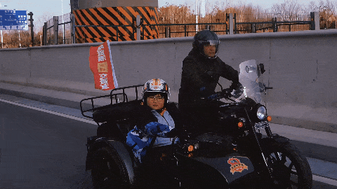 GIF.gif
