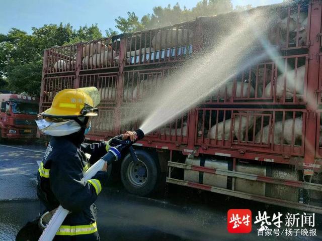 上海裝修一套小型辦公空間是這樣裝潢的-第1張圖片-上海古都建筑設(shè)計(jì)集團(tuán)